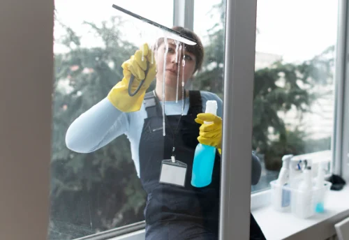 Nettoyage de vitres intérieures et extérieures à Saint-Aubin-de-Terregatte